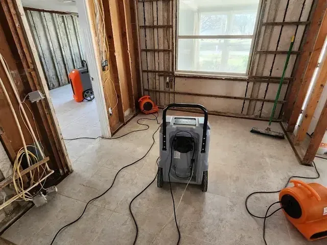Orange air movers and dehumidifier inside a room with exposed studs
