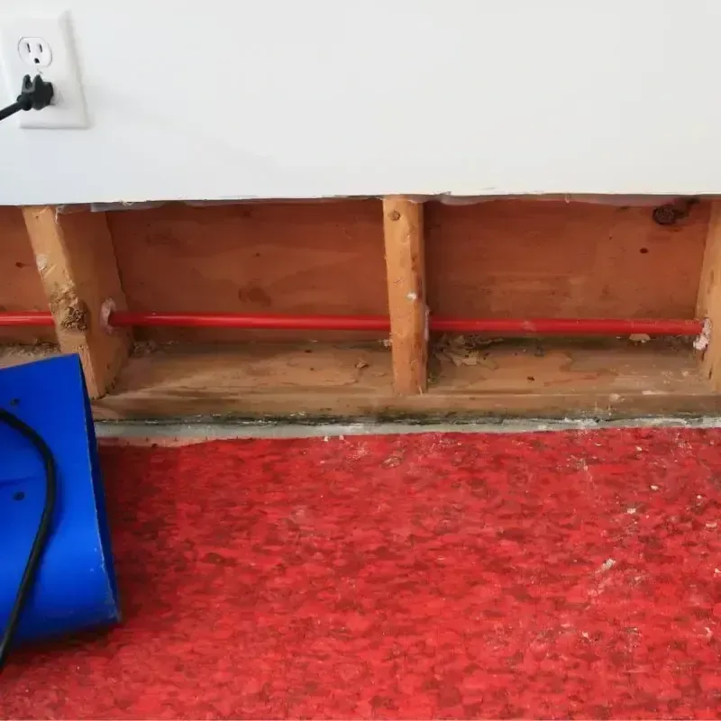 Lower wall opening exposing framing and red pipe above carpet
