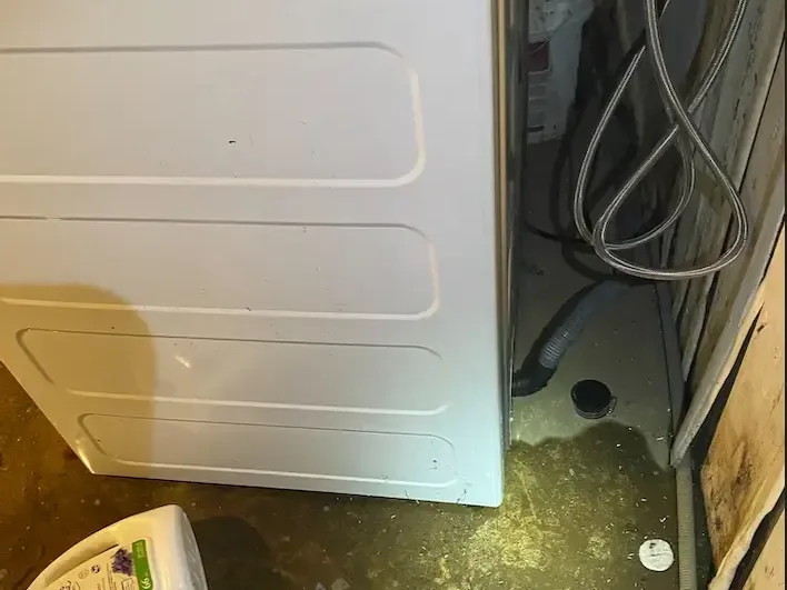 Water pooled beside a washing machine and its hoses