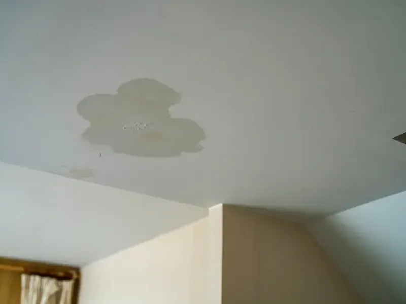 Broad water stain across a ceiling below a leak
