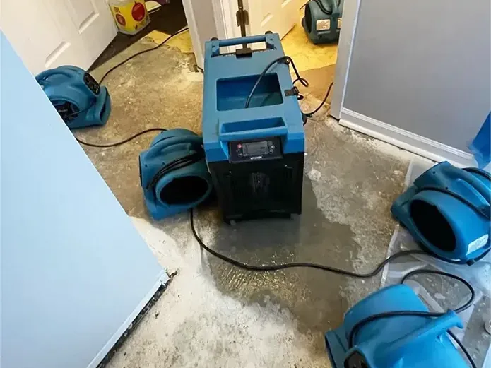 Air movers and a dehumidifier arranged for interior drying
